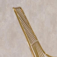 HOMCOM set van 2 eetkamerstoelen keukenstoelen met rugleuning en anti-slip poten voor woonkamer, studeerkamer en café, luxe, modern, metaal goud 46 x 56 x 80 cm(m-8)