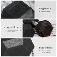 HOMCOM Rubber Dumbbell Sports Hex Weights Sets Home Gym Fitness Hexagonal Dumbbells Kit Weight Lifting Exercise (2 x 8kg)(m-4)