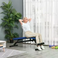 HOMCOM Multifunctional Sit-Up Dumbbell Bench Adjustable Backpad & Seat Foldable Design Exercise Machine for Home, Office, Gym, Blue(m-2)