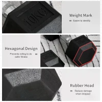 HOMCOM Rubber Dumbbell Sports Hex Weights Sets Home Gym Fitness Hexagonal Dumbbells Kit Weight Lifting Exercise (2 x 10kg)(m-4)