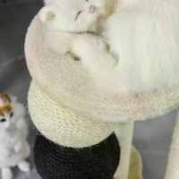 PawHut Luxury Plush Cat Tree Climbing Frame Activity Center with Sisal Scratching Posts Perches Scratching Balls, Beige(m-5)