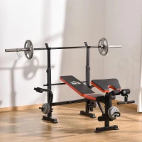 HOMCOM Banco de Pesos Multifuncional Banco de Musculação com Encosto Ajustável Suporte de Barras para Fitness Treinamento Completo 175x139x127cm Preto(m-2)