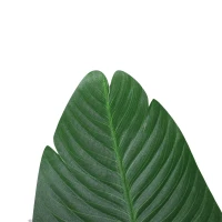 Outsunny Planta Artificial de Decoração Planta Palmeira Artificial com Vaso 7 Folhas para Exterior e Interior Ø15x120cm Verde(m-8)