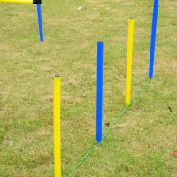 PawHut Kit Treino Agility Agilidade Cães Salto Túnel e Slalom Azul Amarelo(m-7)