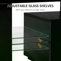 HOMCOM High Gloss TV Stand Cabinet with LED RGB Lights and Remote Control for 43"/50"/55" TV, Media TV Console Table with Compartment, Black(m-4)