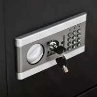 HOMCOM Steel Anti-Theft Duo-Lock Safe Black(m-7)