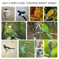 PawHut Wooden Outdoor Aviary Bird Cage w/ Stand for Sun Parakeet, African Gray Parrot, Cockatiels Large Play House Removable Bottom Tray(m-9)