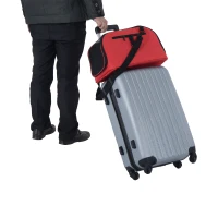 PawHut Trasportino Borsa Pieghevole per Cani Gatti e Animali Domestici 43 x 22 x 27cm Rosso(m-11)