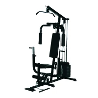HOMCOM Stazione Multifunzione Professionale per Allenamento Upper & Lower Body, in Acciaio e PVC, Nero, 156x113x205cm(m-1)