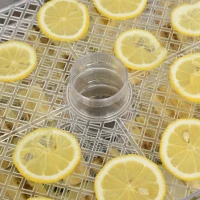 Homcom Essiccatore Alimentare Orizzontale con Temperatura Regolabile 35°-70°(m-8)