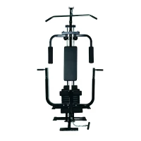 HOMCOM Stazione Multifunzione Professionale per Allenamento Upper & Lower Body, in Acciaio e PVC, Nero, 156x113x205cm(m-4)