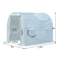 Outsunny Serra da Giardino a Tunnel Per Piante in PE con Tubi in Ferro, Bianco, 250x200x200cm(m-2)