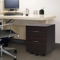 Vinsetto Cassettiera con 2 cassetti per Documenti A4 con Chiusura di Sicurezza Nero(m-2)