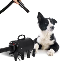 PawHut Asciugatore Soffiatore Aria Calda 2400W per Cani Animali Domestici 40x16x20cm Nero(m-2)