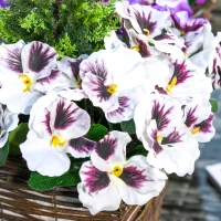 Outsunny ghiveci flori artificiale de Phalaenopsis, 26x26x45cm(m-8)