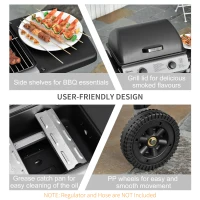 Outsunny Gratar cu Gaz din Otel 2 Arzatoare de 2,8 kW cu Capac Etajere Roti(m-4)