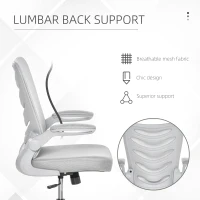 Vinsetto Scaun de Birou Pivotant Inaltime Reglabila Brate care Se Ridica Gri(m-6)