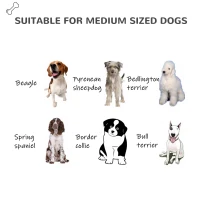 PawHut Casuţa pentru Caini de Exterior din Plastic Uşa şi Fereastra 111x84x80cm(m-8)