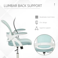 Vinsetto Scaun de Birou Ergonomic Spatar din Plasa si Sezut Capitonat Albastru(m-6)