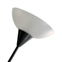Homcom Lampada da Terra con 2 Paralumi con Collo Flessibile in Acciaio Lampadine E27 E14 Ф28 x 179.5cm(m-5)