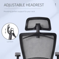 Vinsetto Scaun de Birou Ergonomic Suport Lombar Tetiera Umeras Integrat(m-7)