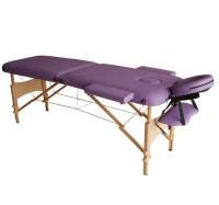 HomCom Lettino da Massaggio Fisioterapia Pieghevole con 2 Zone 182 x 60cm Viola(m-4)