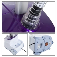 HomCom Fier de Calcat cu Vapor Vertical Profesional cu Rezervor 1.8L 1800W(m-9)