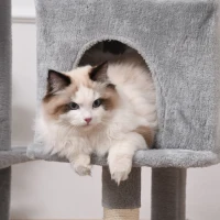 PawHut Ansamblu pentru Pisicuţe şi Pisici Adulte pana la maxim 4.5 kg Gri(m-11)