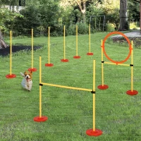 PawHut set antrenament cu obstacole si inel pentru caini(m-2)