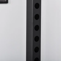 HOMCOM Aparat de antrenament multifunctional Statie de fitness din otel 155x118x220cm Negru(m-7)