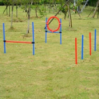 PawHut Set Agility Dog Dresaj Caini, Obstacole si Slalom, Geanta de Transport(m-10)