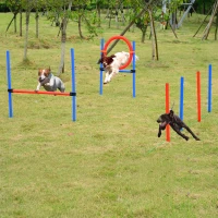 PawHut Set Agility Dog Dresaj Caini, Obstacole si Slalom, Geanta de Transport(m-2)