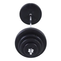 Homcom Set Haltere & Bara 170cm, 70kg cu discuri reglabile pentru antrenamente(m-13)