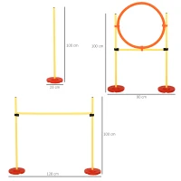 PawHut set antrenament cu obstacole si inel pentru caini(m-3)