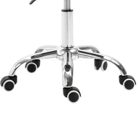 Homcom Scaun Cu sa Reglabil – Profesional, Pentru Coafeze & Tatuatori(m-11)