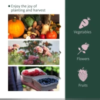 Outsunny Seră pentru Grădină tip Tunel din PVC Cadru din oțel Trasparentă, 200x100x80cm(m-8)