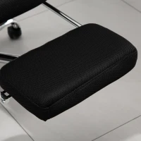 Vinsetto scaun de birou ergonomic, insertie plasa, negru(m-10)