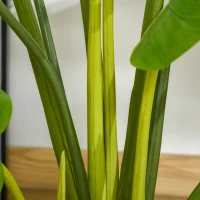 HOMCOM sztuczna palma, sztuczna roślina, roślina domowa, roślina dekoracyjna, roślina do biura, do pomieszczeń i na zewnątrz 110cm(m-6)