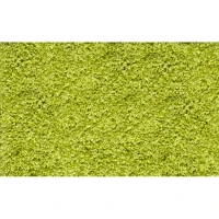 Homcom Fußmatte waschbar Gummiumrandung Grün 120 x 80 x 0,5 cm(m-2)