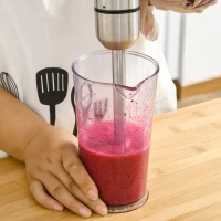 HOMCOM Stabmixer 1000W 4 in 1 Stabmixer mit Messbecher Schneebesen Schüssel zum Zerkleinern Mixer für Babynahrung Säfte Saucen gehacktes Gemüse ABS Rostfreier Metall Silber+Schwarz 10 x 6,5 x 41 cm(m-2)