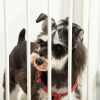 PawHut Dog Barrier Gate Door Gate Pet Safety Gate Adjustable Collapsible Fireplace Gate with Automatic Closing Door 3 Panels for Stove Wall Mounting/Free Standing White 202.5 x 76 cm(m-6)