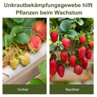 Agrotkanina przeciw chwastom agrowłóknina na chwasty 100 g/m² kolor czarny 50x2 m(m-7)