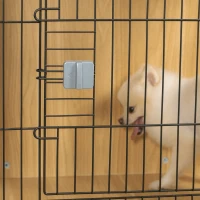 PawHut Cage pour chien cage pour animaux sur pied cage chien interieur meuble chien porte verrouillable structure en acier panneaux de particules aspect bois dim. 73L x 55l x 78H cm chêne(m-8)