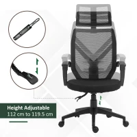 Vinsetto High Back Home Mesh Office Chair Swivel Reclining w/ Lumbar Support Height Adjustable Free Moving Suitable For Working Relaxing Black(m-5)
