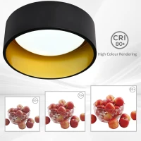 HOMCOM LED Ceiling Light Modern Ceiling Lamp 22W 1500 Lumen Cold White Light Mount Ceiling Lamp for Living Room Bedroom Kitchen Hallway(m-5)