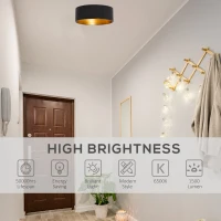 HOMCOM LED Ceiling Light Modern Ceiling Lamp 22W 1500 Lumen Cold White Light Mount Ceiling Lamp for Living Room Bedroom Kitchen Hallway(m-4)