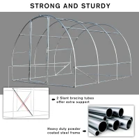 Outsunny Walk-in Polytunnel Greenhouse Garden Planting Shed Clear PE Cover 25mm Diameter Galvanised Steel Frame, 3L x 3W x 2Hm(m-4)
