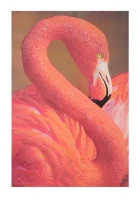 Stampa Su Tela Con Applicazioni -A- Flamingo Cm 80X3.8X120(m-1)