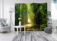 Paravento - Road in Sunlight II [Room Dividers] 225x172(m-2)