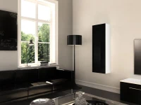 Homemania Armadio Tallinn Bianco Opaco, Nero Lucido PVC W30xD29xH126 cm(m-1)